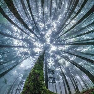 Meet your Posher, Bill